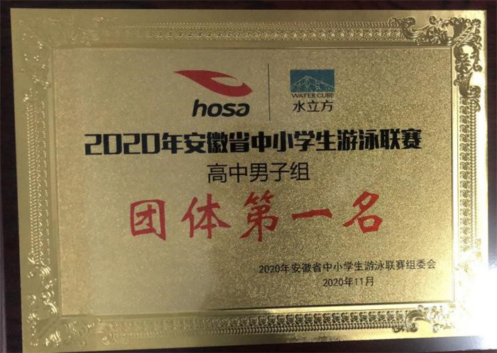 luck18平台在安徽省游泳联赛中再创佳绩(图4)