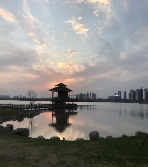 政教处:超越自我,“牛”转乾坤(图1)