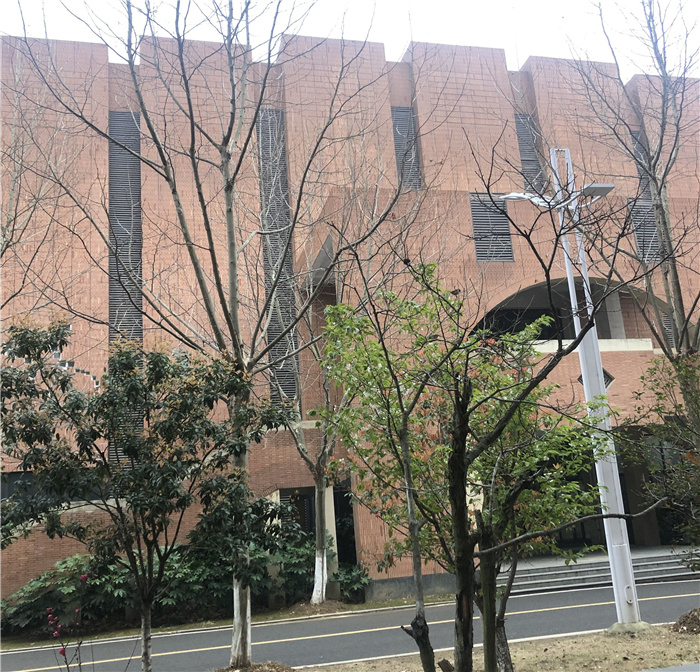 教务处：愉悦·充实·蓬勃(图5)