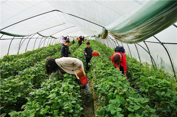 luck18平台女教职工三八节踏青活动(图1)