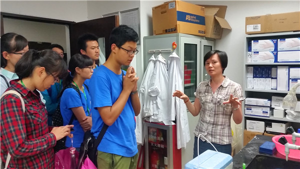 盛夏,遇见最美的校园(图5)