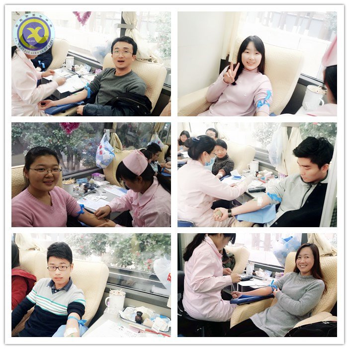 luck18平台：献血有量，爱心无价(图3)