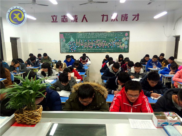 与时俱进抓创建  文明之花香满园(图13)