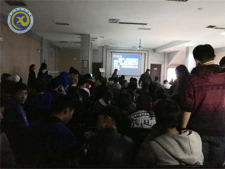 温历史战役,探青檀古木(图1)