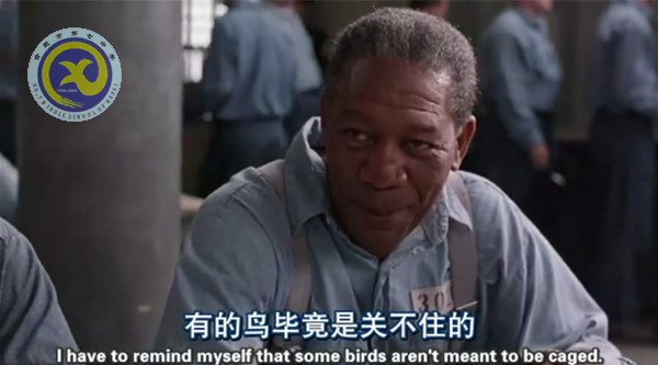 畅享视听之趣,延伸课堂之美(图2)