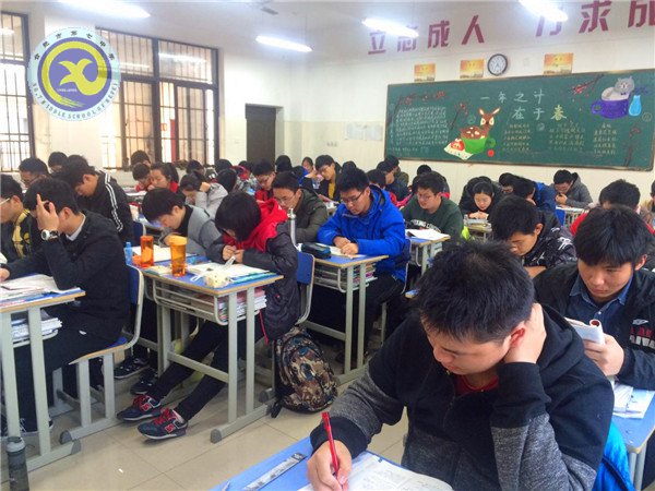 优质高效早读  激发读书热情(图1)