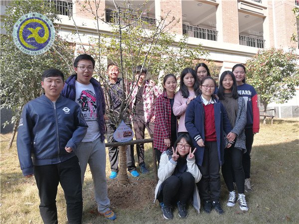 植一片海棠 留年年花香(图1)