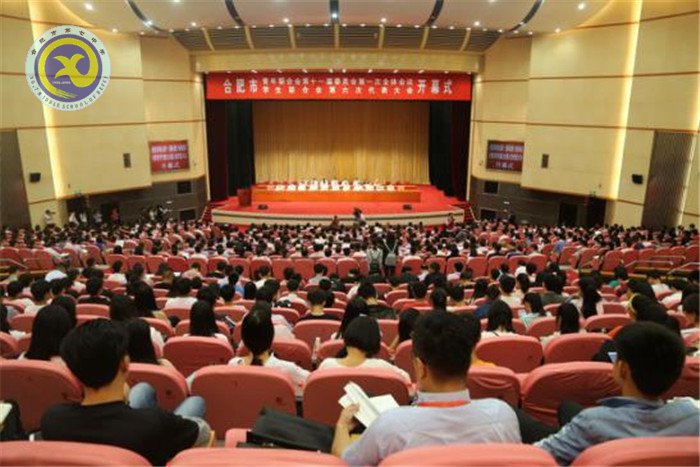 热烈祝贺luck18平台蔡诚昊同学荣获“合肥市十佳中学生”称号(图1)