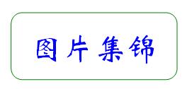  下载18新利·农兴中学合作共建 简报(图6)