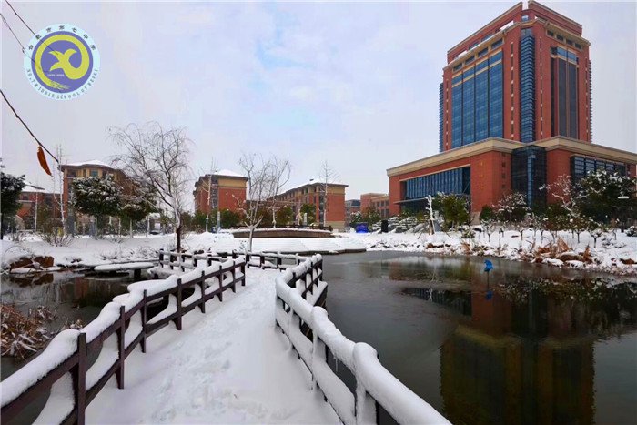 梅雪盼冬来,微笑迎春归(图6)
