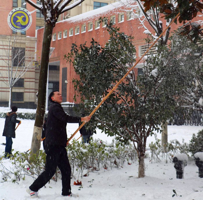 梅雪盼冬来,微笑迎春归(图10)