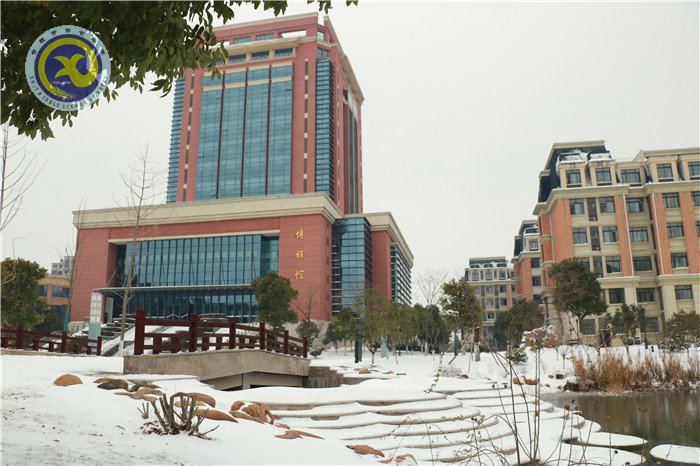 除雪清路暖人心 冰雪天气见真情(图1)