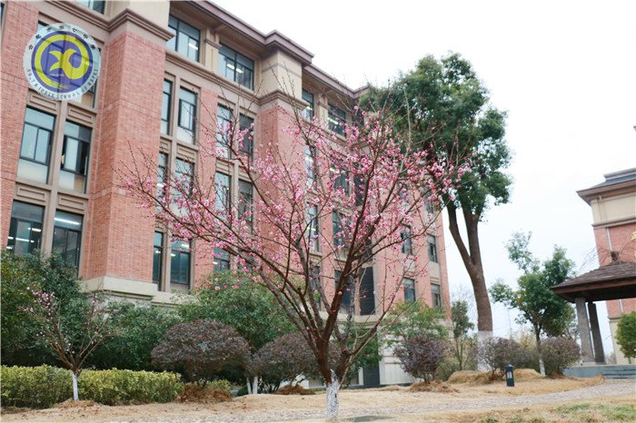 春暖花开迎开学,统筹各方新起航(图9)