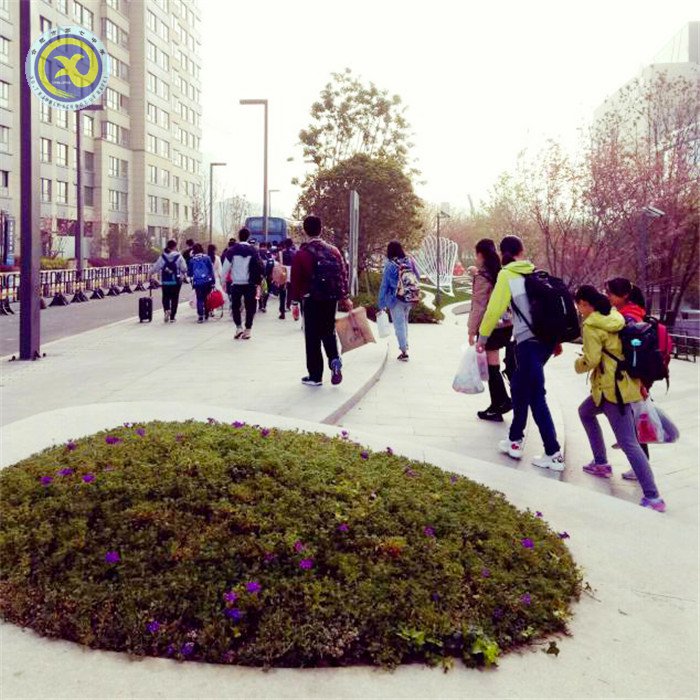 离时古寺西边路,莘莘学子满目中(图1)