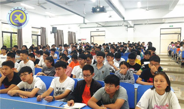 奋起直追, 追寻曾经的美丽(图2)