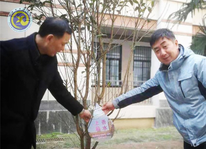 一棵两棵三棵,棵棵皆成栋梁材(图7)