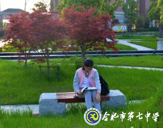 唯美七中 诗画校园(图5)