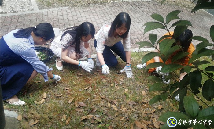 齐心除草整庭院 党领我行再奋进(图4)