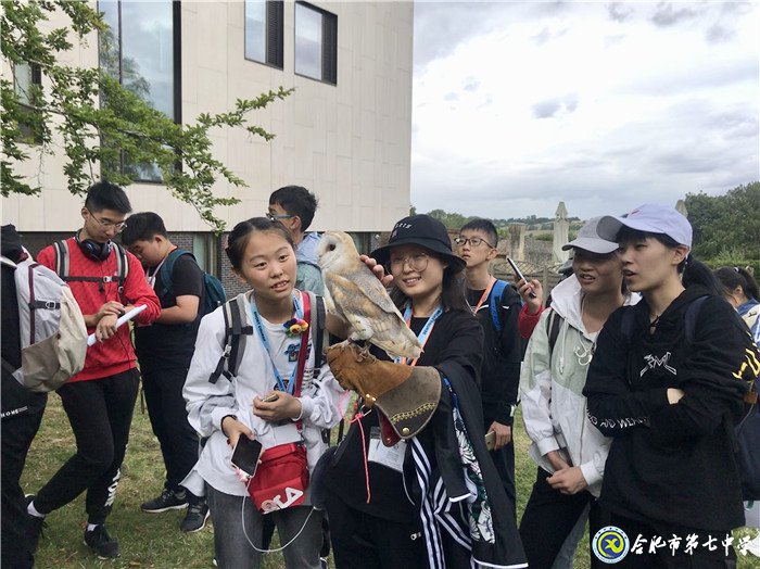 游在英国,学在牛津(图5)