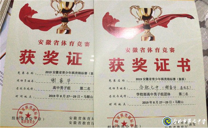 luck18平台喜获2019年安徽省棋类锦标赛团体第二名(图7)