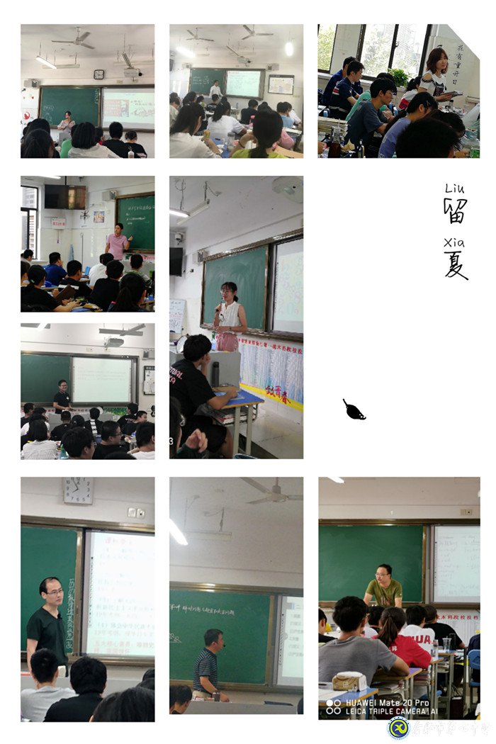骨干引领彰显风采 一轮偕行共踏新阶(图2)