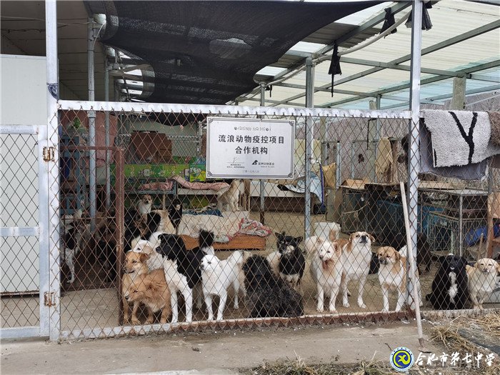 关爱生命,善待动物(图3)
