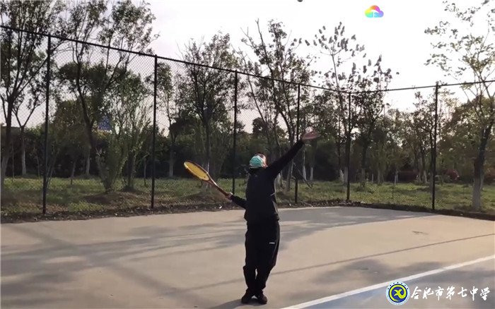 别开生面,带你走进网球世界(图2)