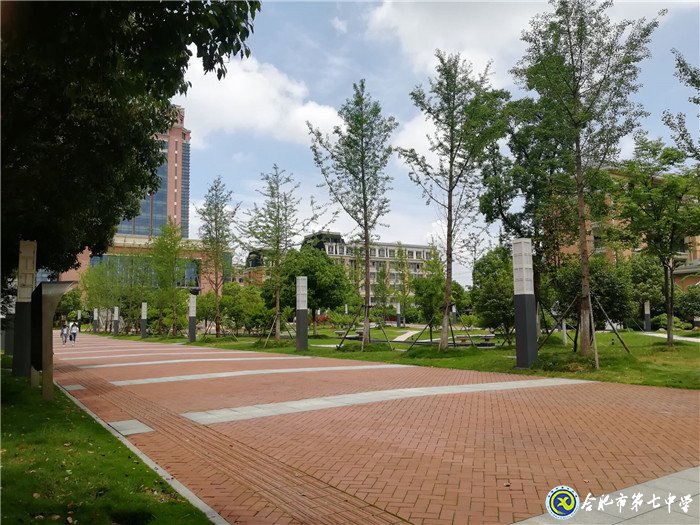 6月20日实习手记：念教育之心，拥教师之光(图6)