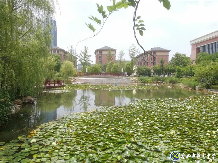 7月3日实习手记:离别与不舍(图12)