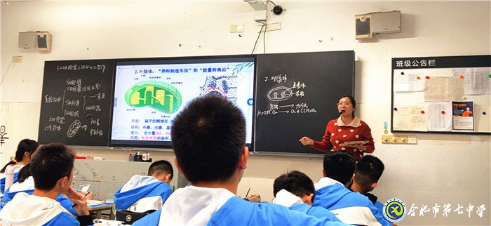 专家视导引方向,交流反思促提升(图4)