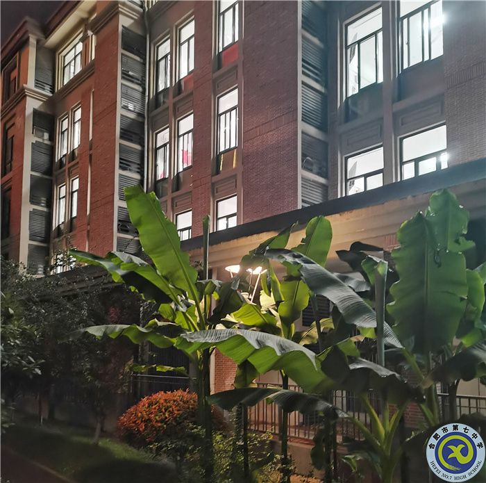 晚间自习 张子文.jpg