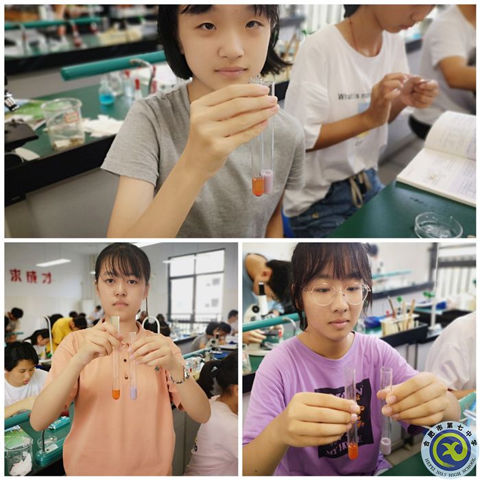 高一学生正在进行生物实验(二).jpg 高一学生正在进行生物实验(二).jpg