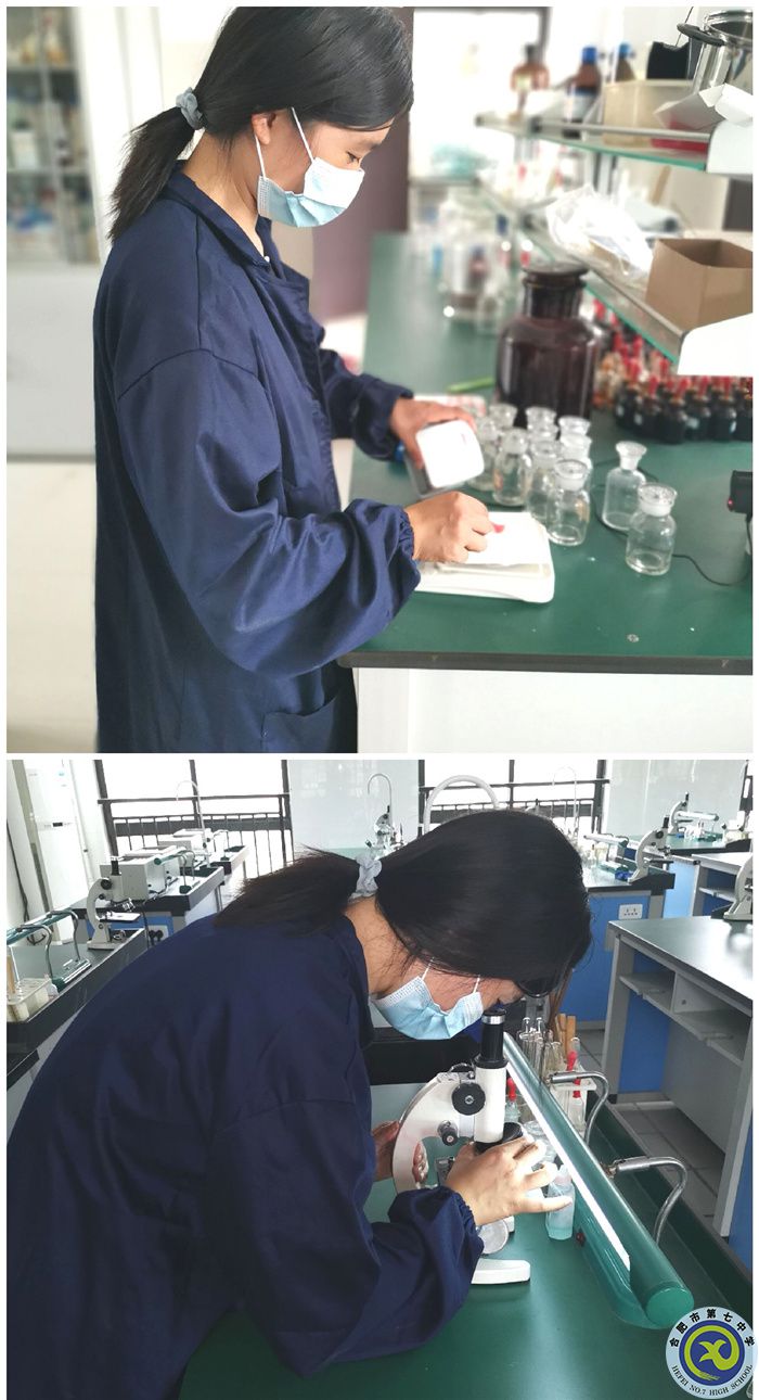 实验员蒋绿荣老师在做实验前的准备.jpg 实验员蒋绿荣老师在做实验前的准备.jpg