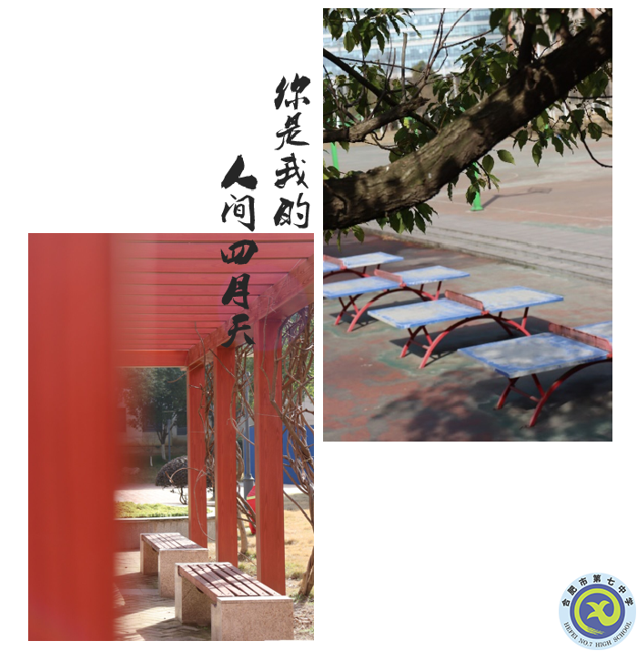 图为luck18平台紫藤长廊及运动球场.png 图为luck18平台紫藤长廊及运动球场.png