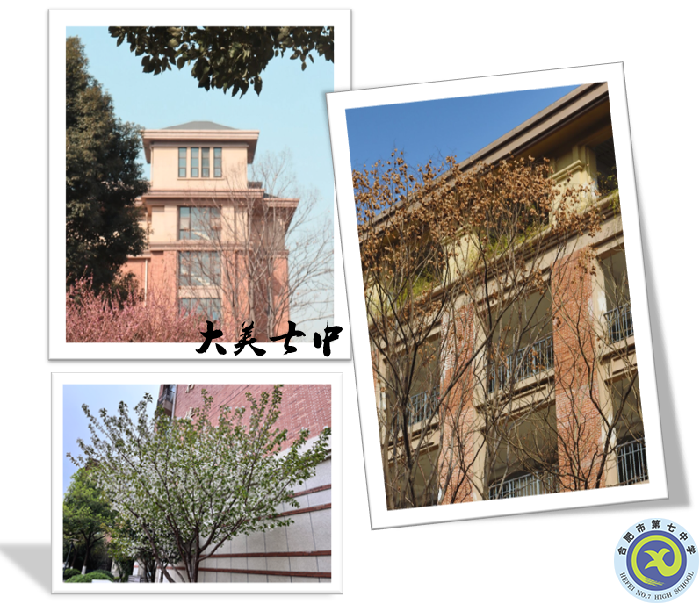 图为luck18平台教学楼风景照.png 图为luck18平台教学楼风景照.png