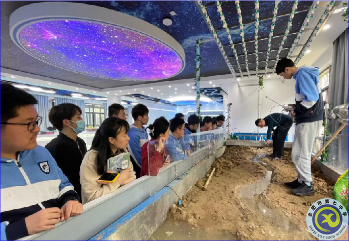 杨会杰老师上课中.png 杨会杰老师上课中.png