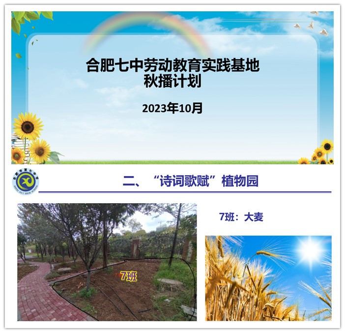 luck18平台2022级高二年级大麦种植历程(图1) luck18平台2022级高二年级大麦种植历程(图1)