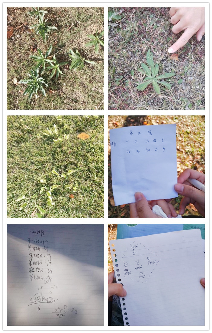 生物学实验_副本.jpg