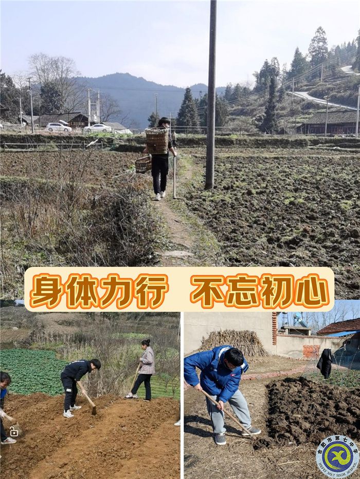 体育.jpg 体育.jpg