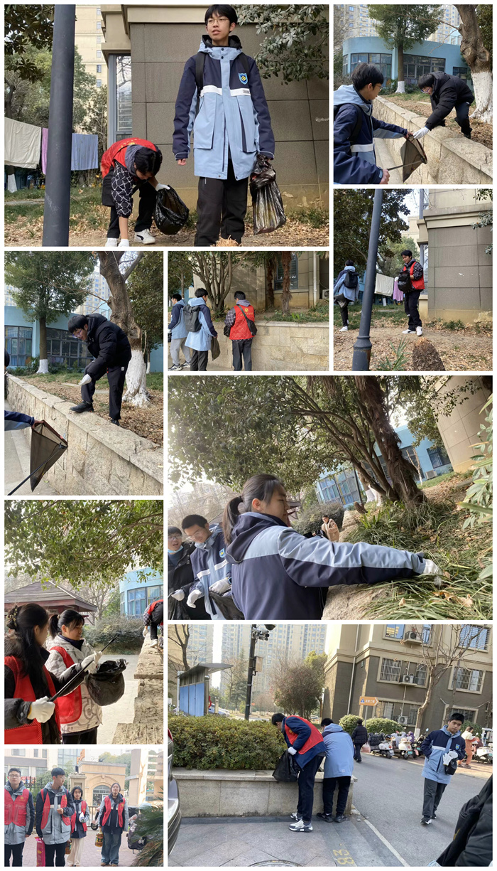 老有所依 暖心“七宝”在行动!(图2) 老有所依 暖心“七宝”在行动!(图2)