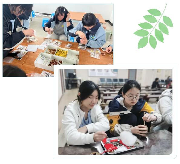 QQ截图20250401100130.jpg QQ截图20250401100130.jpg