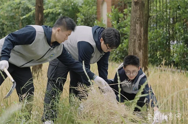 安徽省教育厅:美好生活 劳动创造 luck18平台开展系列劳动实践教育活动(图1) 安徽省教育厅:美好生活 劳动创造 luck18平台开展系列劳动实践教育活动(图1)