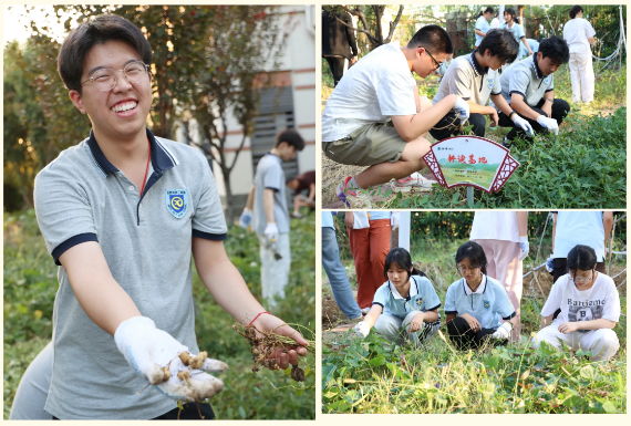 满手泥巴，满心欢喜！来luck18平台上堂“田间思政课”吧