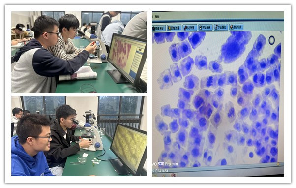 initpintu_副本.jpg initpintu_副本.jpg