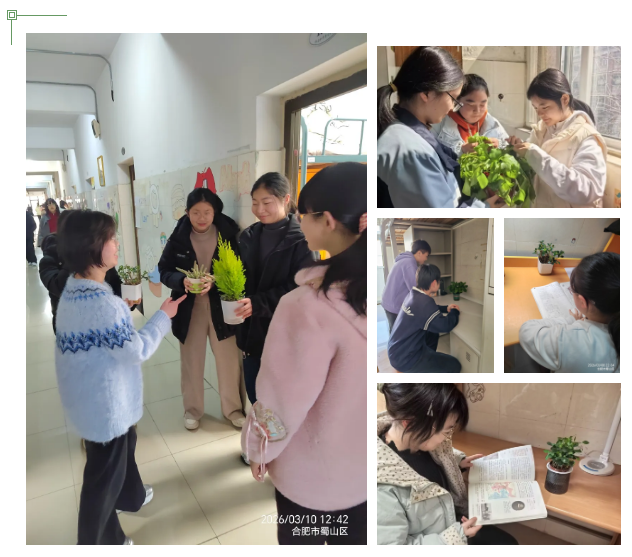 QQ截图20260319091337.png QQ截图20260319091337.png