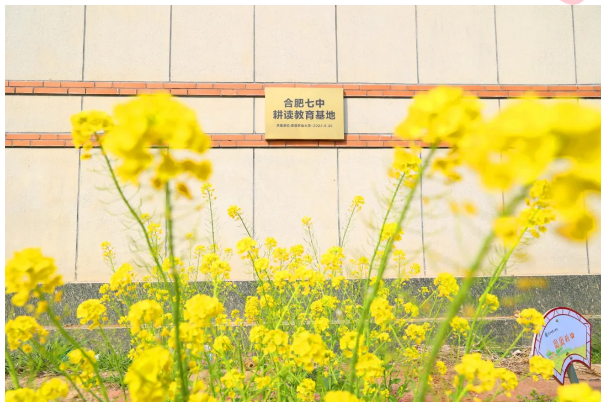 QQ截图20260324173528.png